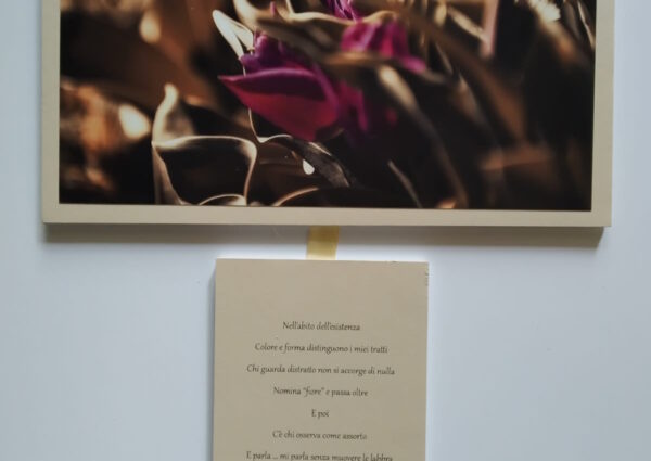 Mostra con poesie
